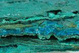 Brilliant Teal Botryoidal Chrysocolla and Malachite - Chile #299574-1